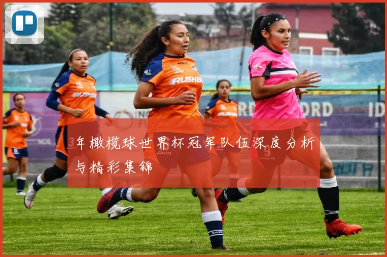 年橄榄球世界杯冠军队伍深度分析与精彩集锦